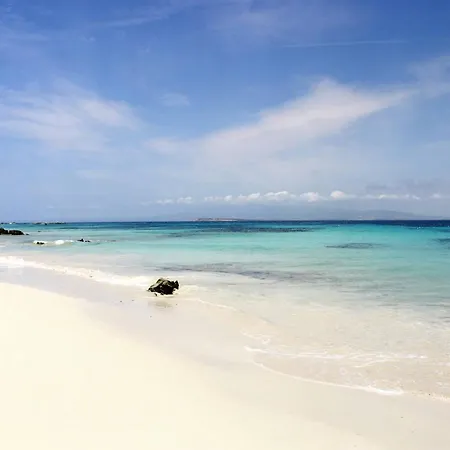 House * Torre Grande