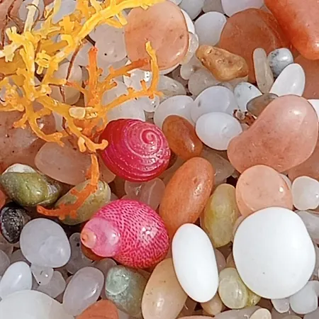 Apartament House Torre Grande