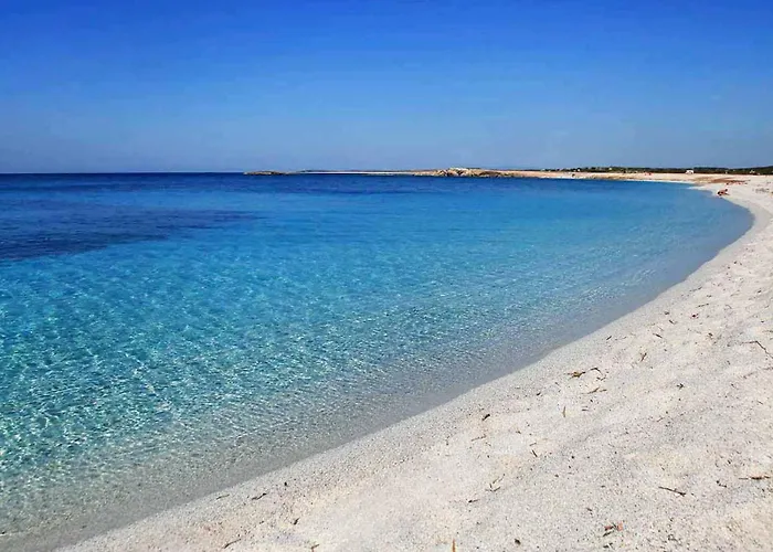 公寓 House - Sa Murta *